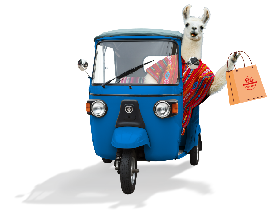 [Imagen de Llama en Mototaxi]